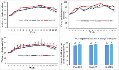 Reproductive Performance of Zi-Goose Promoted by Red Color Illumination